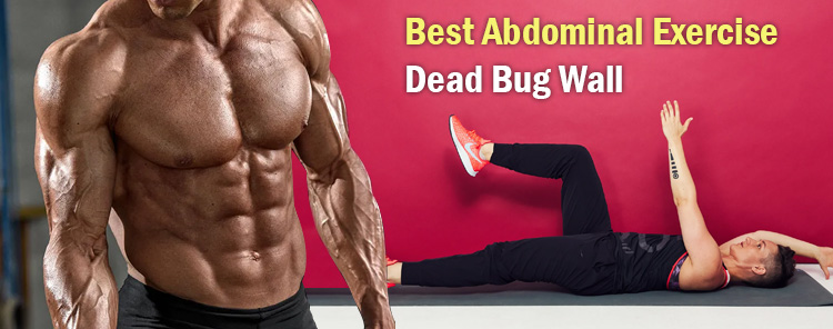 Sculpt Your Core: The Dead Bug Wall Push Exercise (BEST ABDOMINAL EXERCISES)